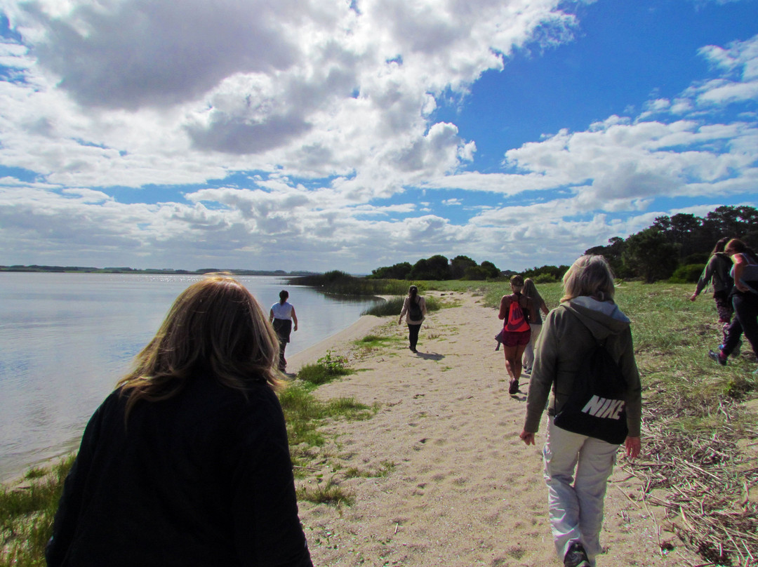 El Caracol旅游攻略图片