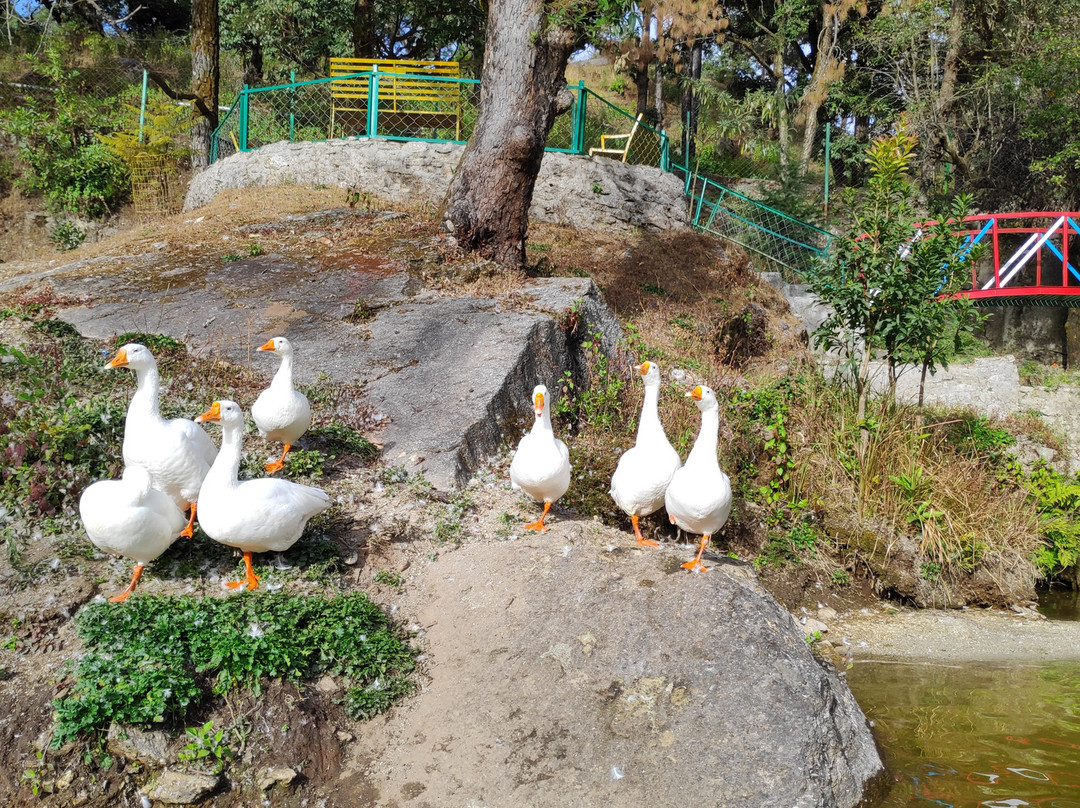 Bhulla Tal Lake景点图片