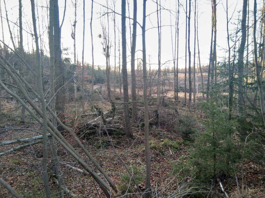 Książ Landscape Park-Walbrzych必去景点