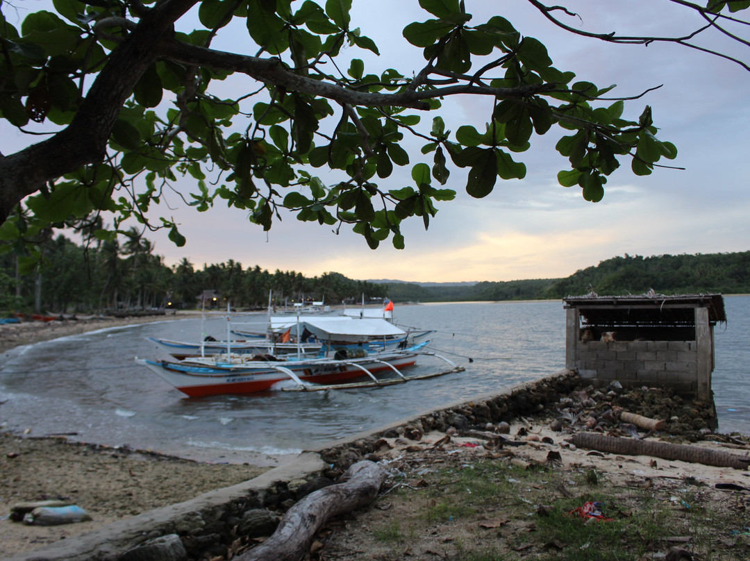 迪高岛度假村主图