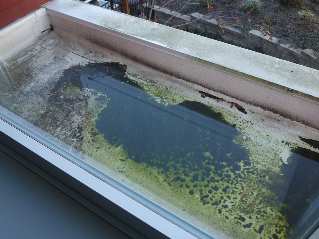 Home2 Suites by Hilton DuPont主图