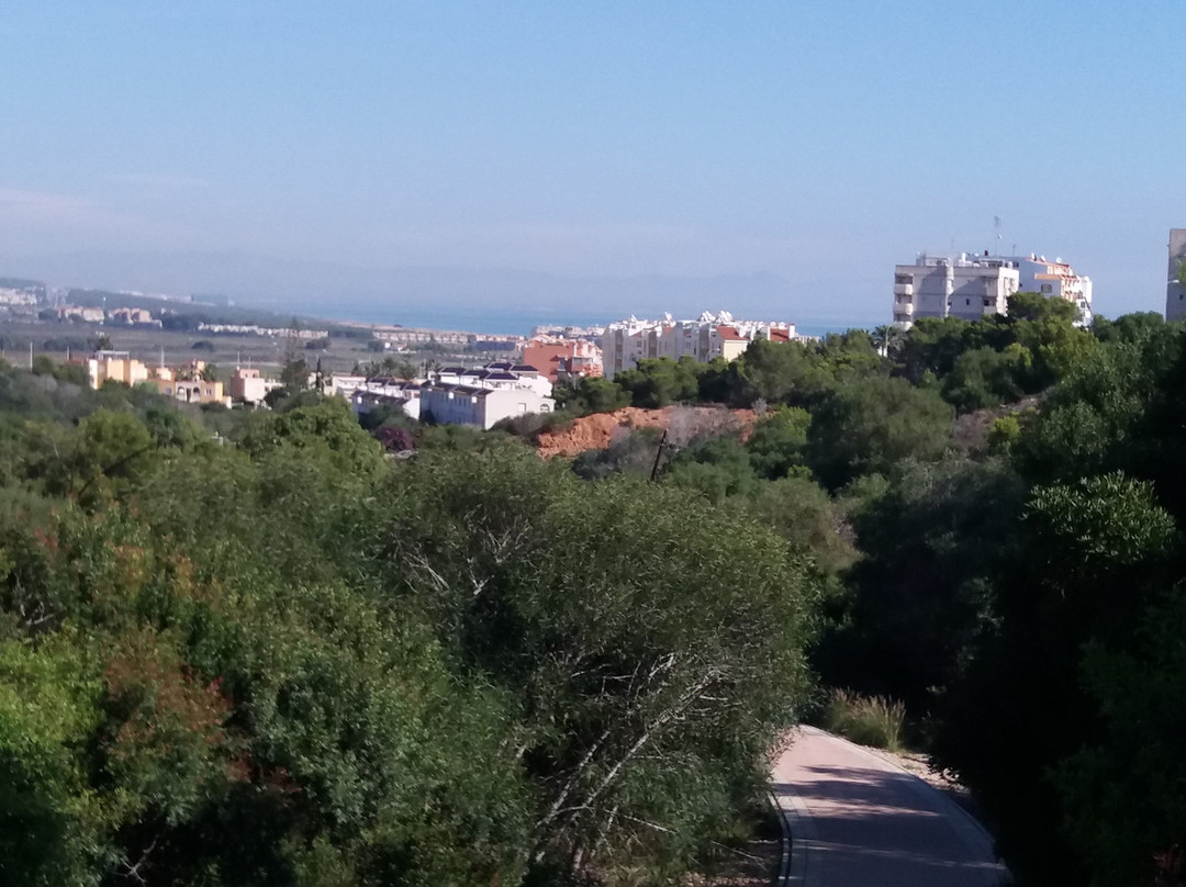 Parque Aromatico景点图片