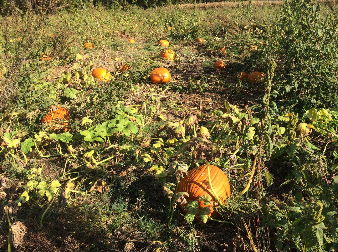 Evergreen Acres-Nokesville必去景点