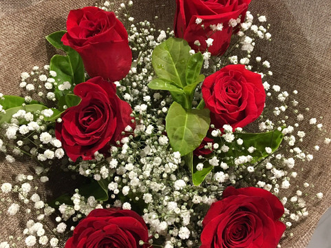 Gold Coast Gondolas-冲浪者天堂必去景点