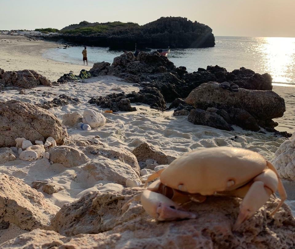 Daymaniyat Islands Nature Reserve-锡卜必去景点