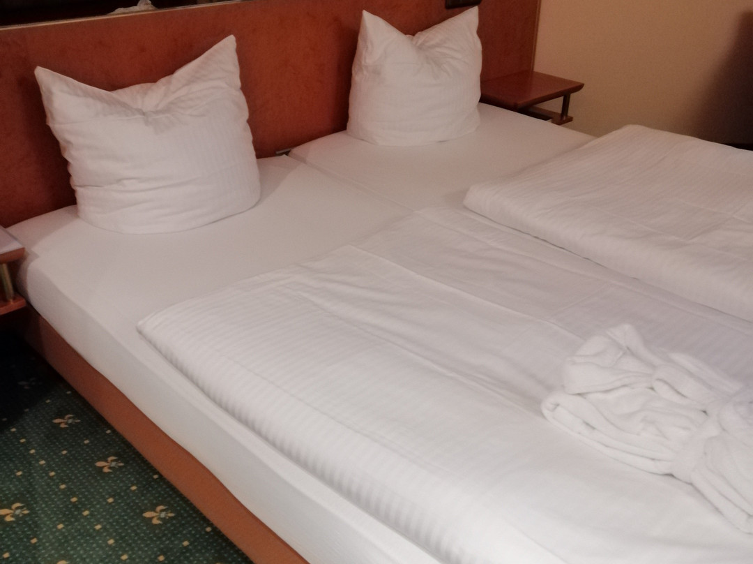 Ringhotel Roggenland主图