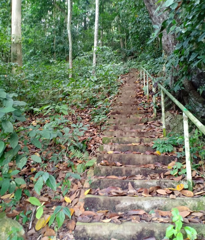 Gunung Senyum Recreational Forest景点图片