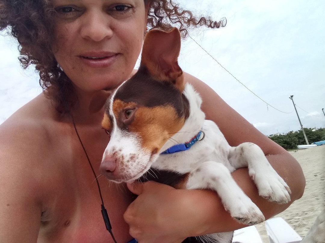 Hotel Maratea Mare主图