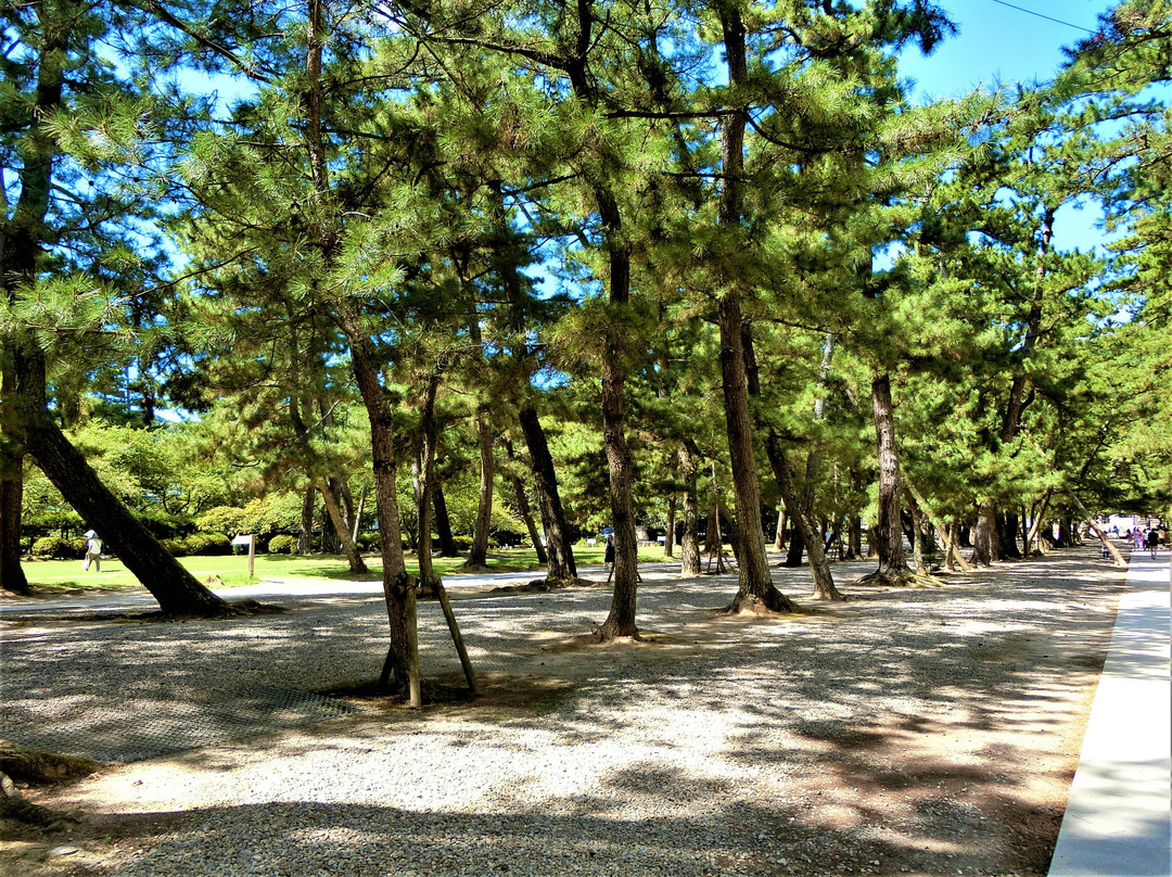 Pine Entrance Path景点图片