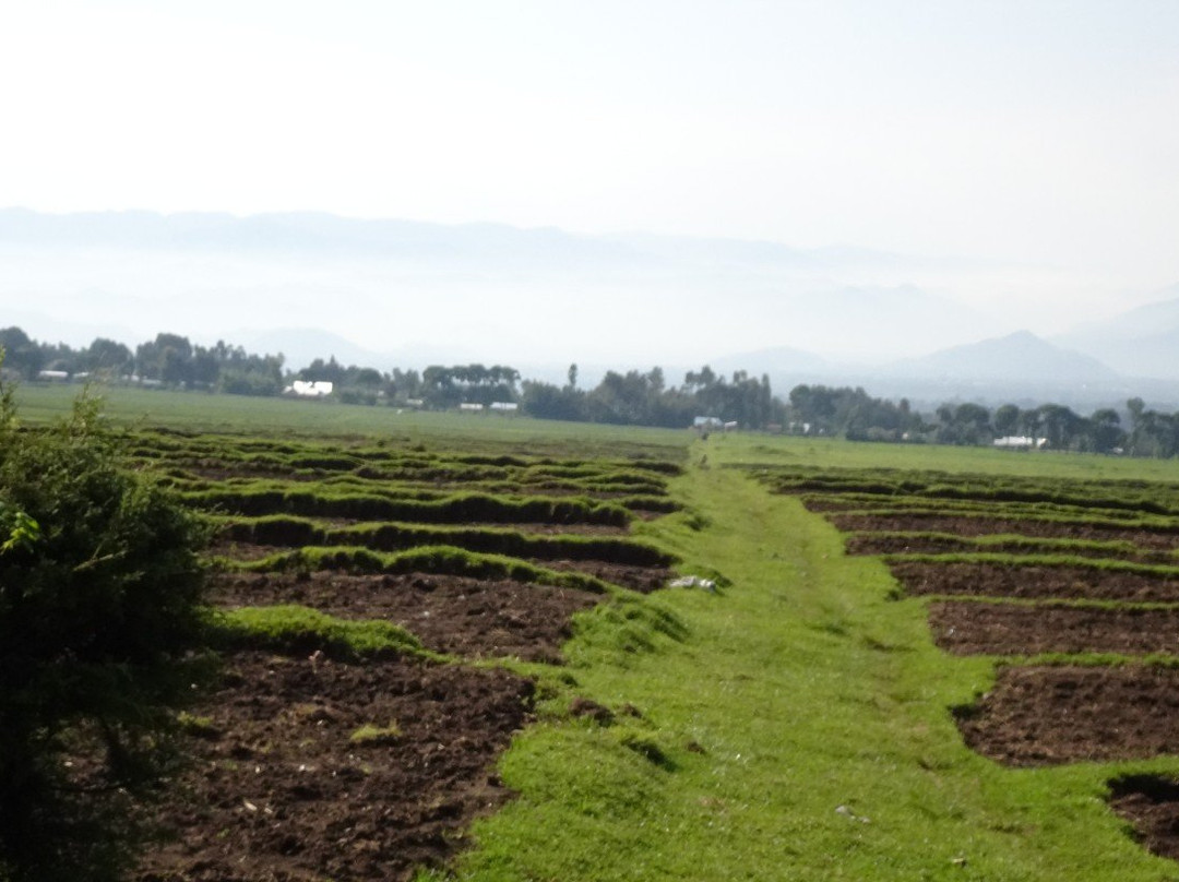 Mount Gahinga景点图片
