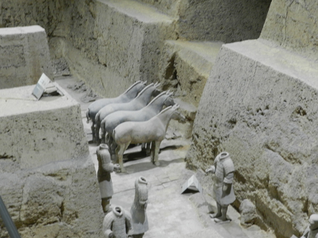 Terracotta Warrior Tours-西安市必去景点