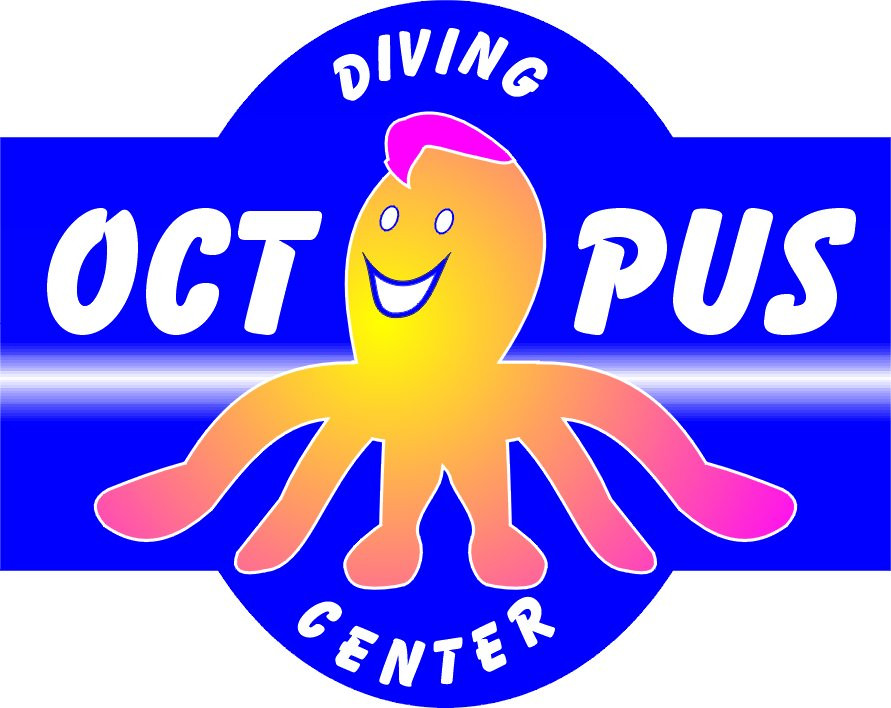 Octopus Diving Center-凯梅尔必去景点