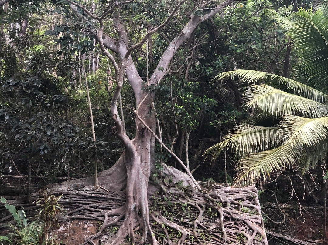 New Cal Outdoors-努美阿必去景点