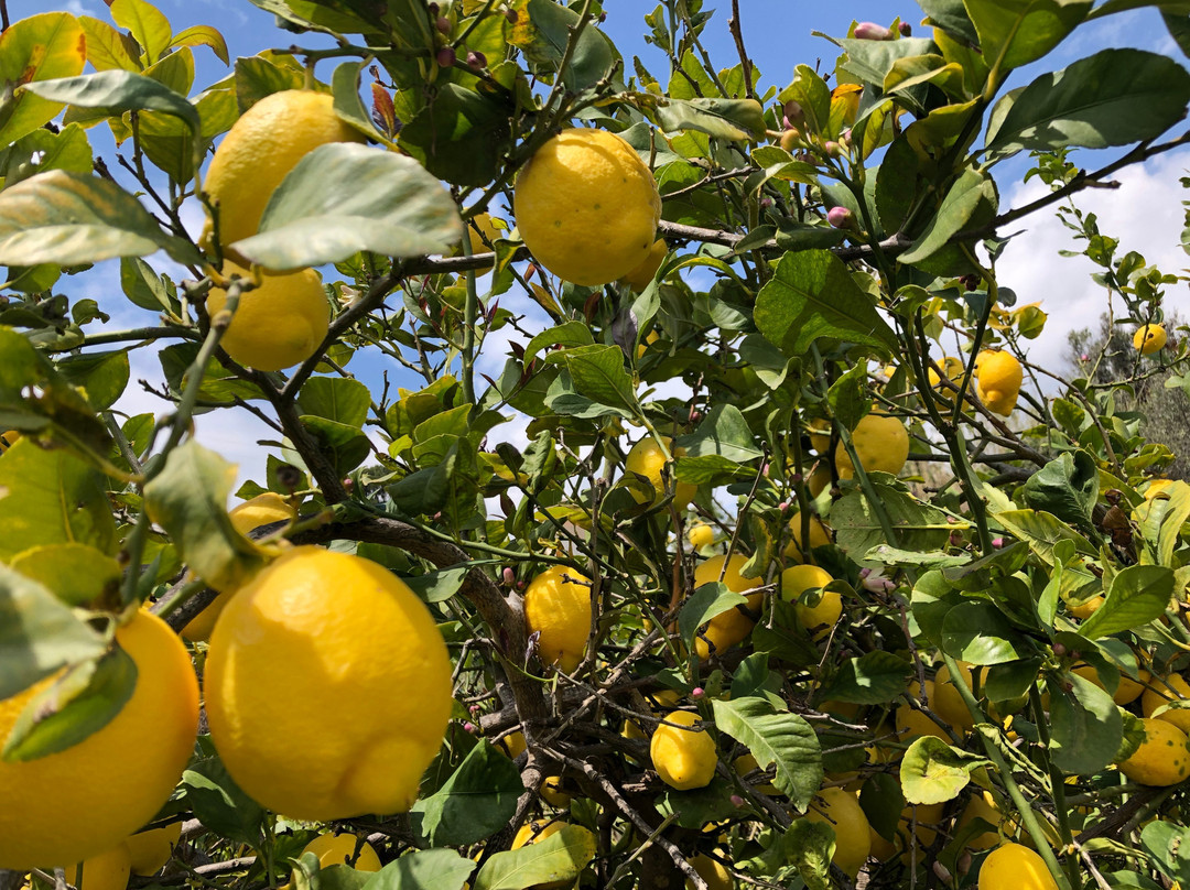 Apartamentos Turisticos Isa i Toni主图