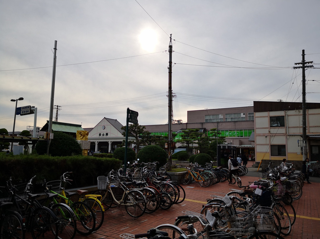 Terminal Hotel Matsuyama主图