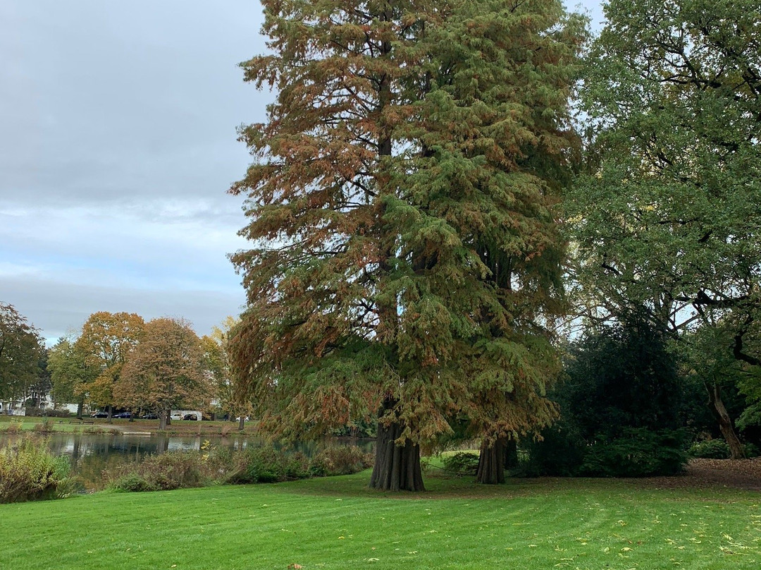 Schönwasserpark景点图片