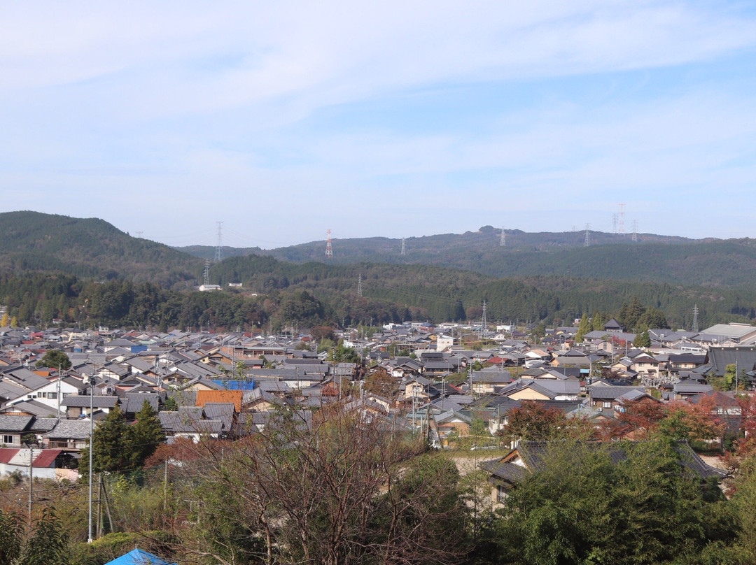 Iwamura Shiroyamajoshi Park景点图片
