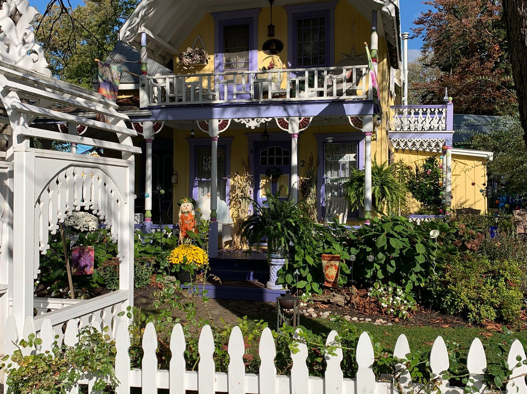 The Painted Ladies of Grimsby景点图片