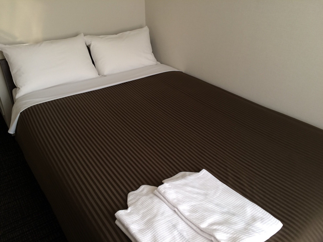 Hotel Trend Okazaki Ekimae主图