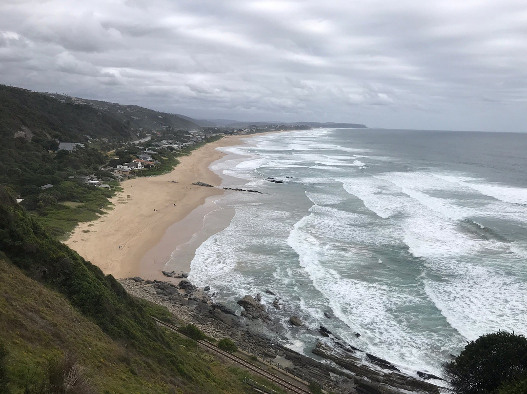 Dolphin Point Lookout-荒野必去景点