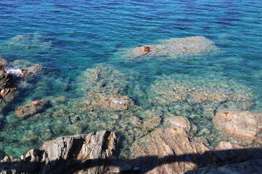 Couvent Saint François-Pino必去景点