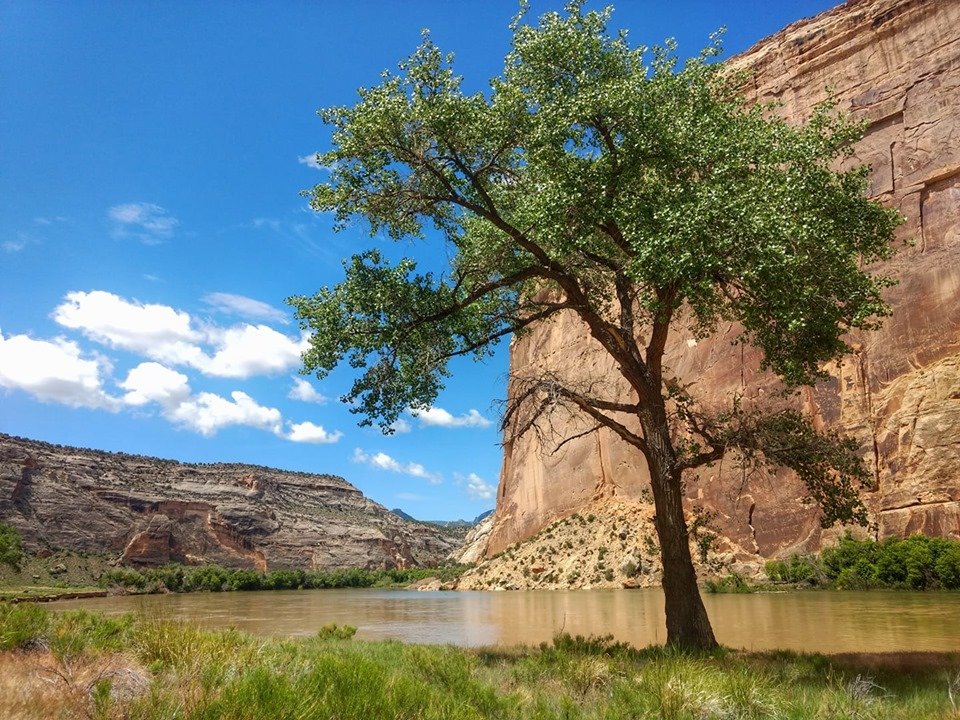 Candlewood Suites Craig-Northwest by IHG-官方