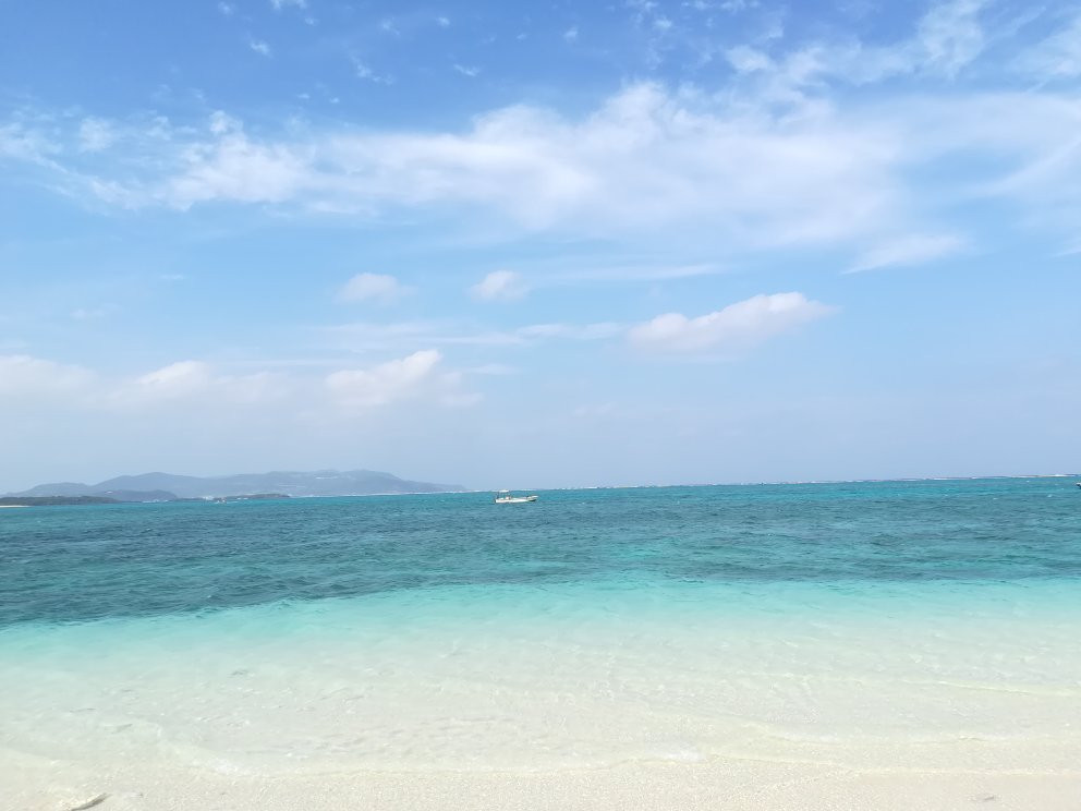 Bird Island景点图片