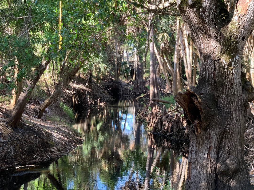 Cullum’s Bonita Trail-博尼塔斯普林斯必去景点