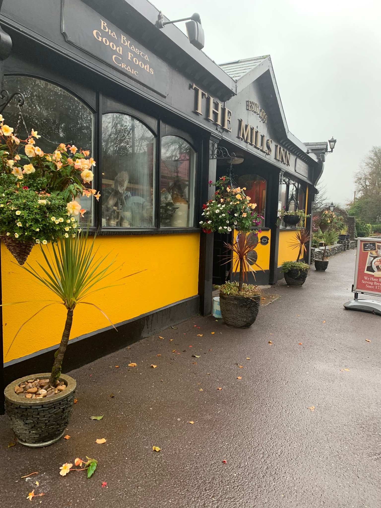 Mills Inn-官方