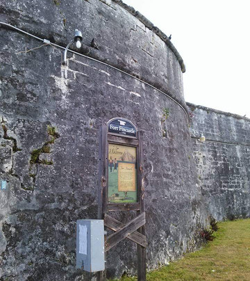 Grand Bahama Nature Tours-弗里波特必去景点