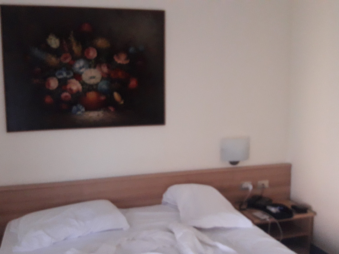 佩鲁贾艺术酒店主图