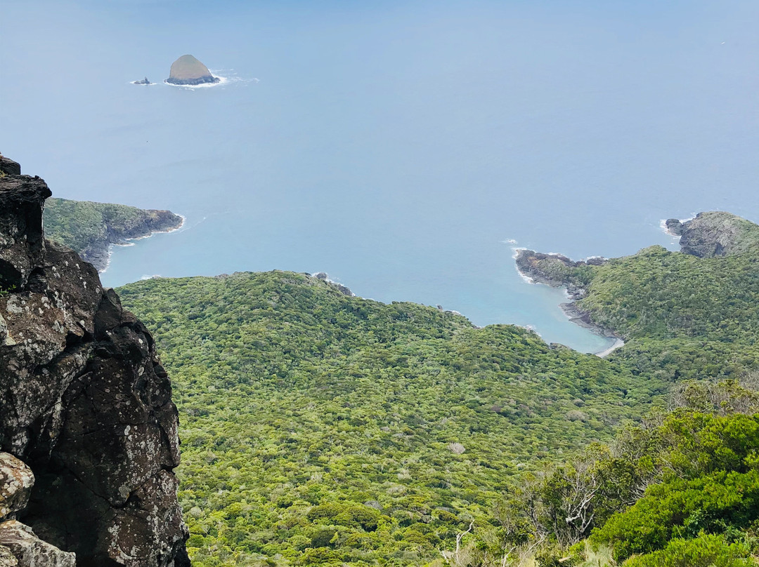 Lord Howe Island Walking Trails景点图片