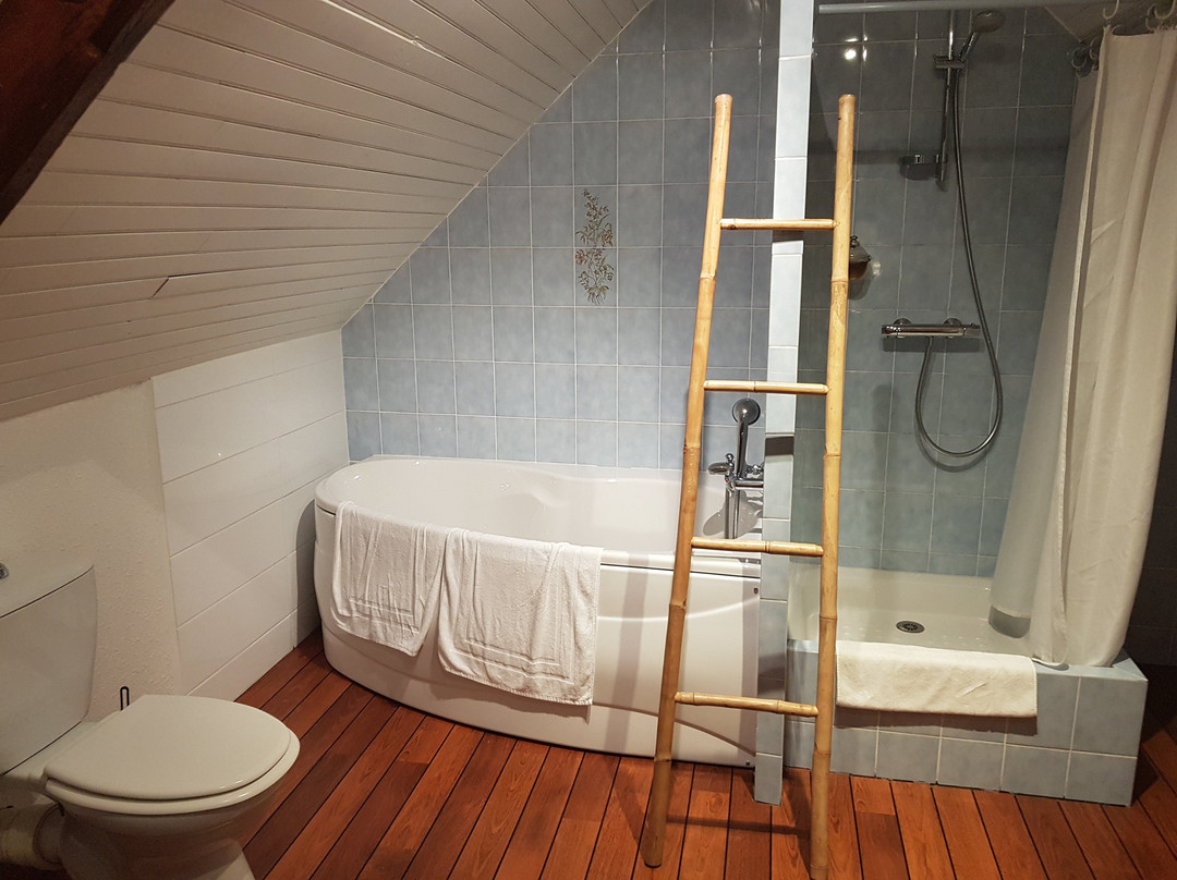 Hotel Le Manoir Saint Michel***主图