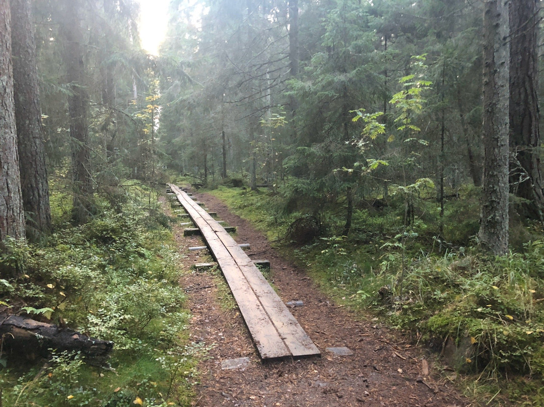 Majakivi-Pikanomme Trail-Virve必去景点