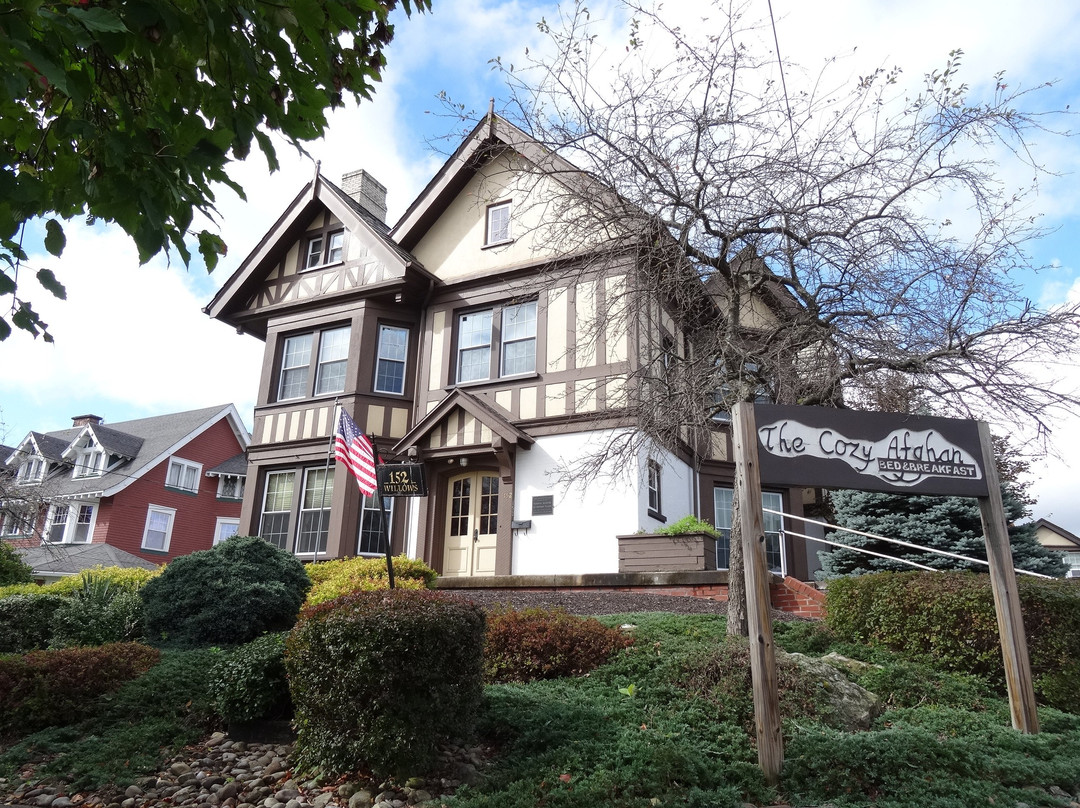 The Cozy Afghan主图