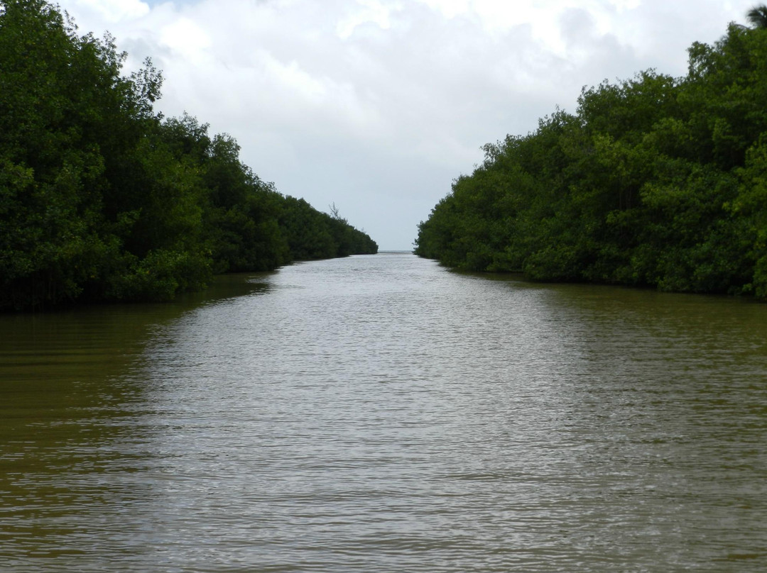 La Paseadora del Río Espíritu Santo-Rio Grande必去景点