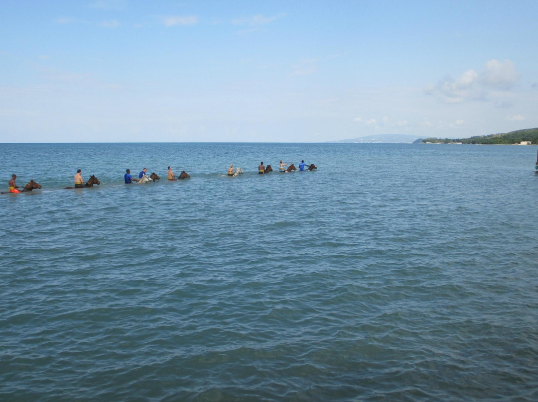 Fun Tours Jamaica Limited-蒙特戈贝必去景点