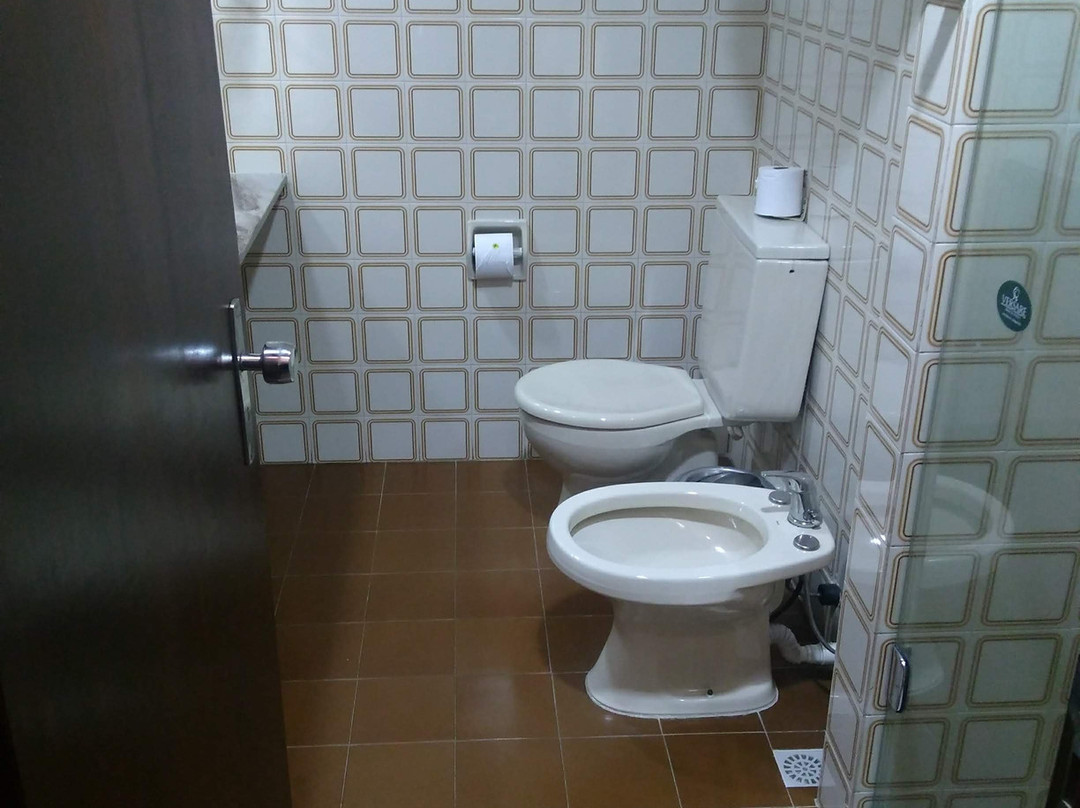 Jandaia Turismo Hotel主图