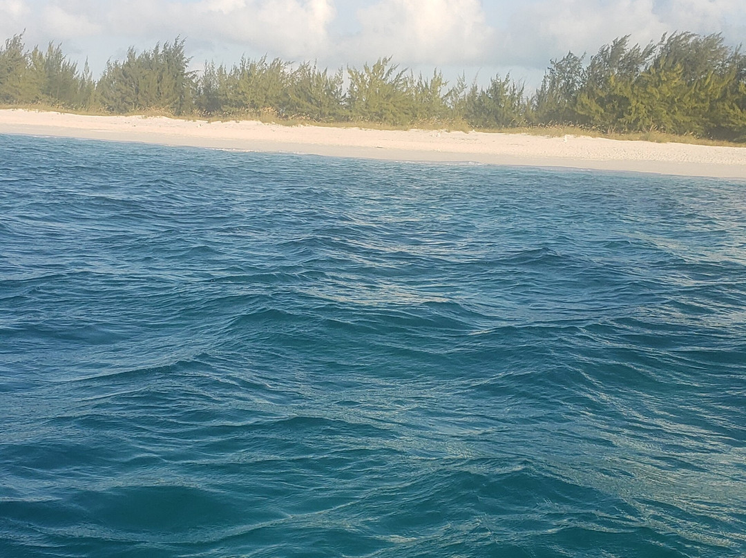 Island Seaduction Watersports & Tours-普罗维登西亚莱斯必去景点