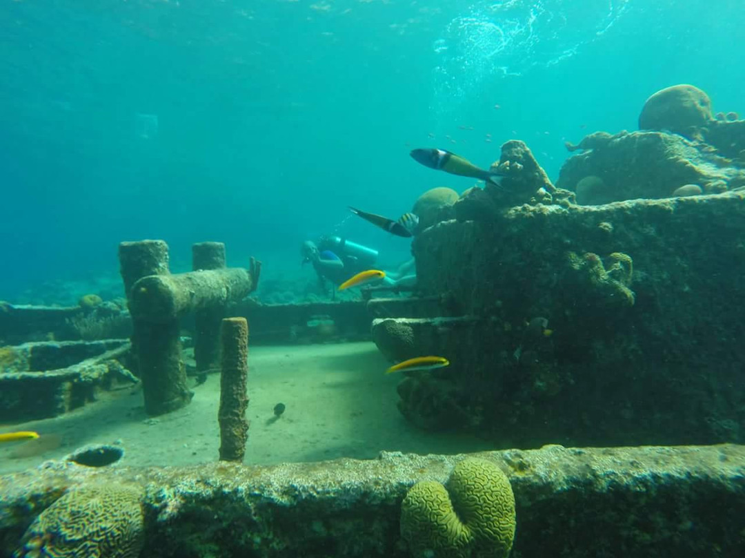 Tugboat Wreck-库拉索必去景点