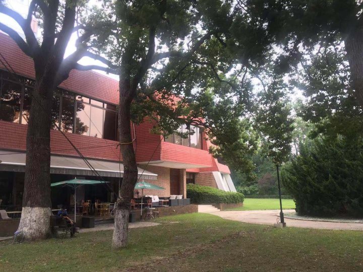 龙柏饭店-酒店景观