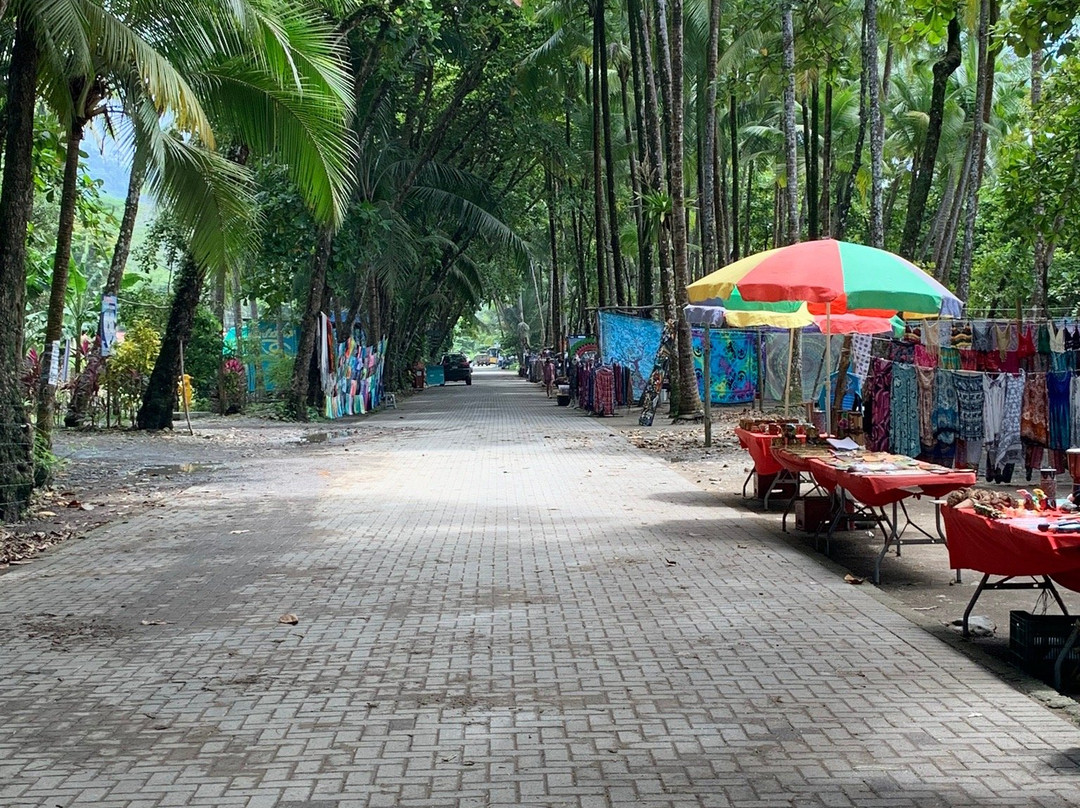 Playa Dominical-主日镇必去景点