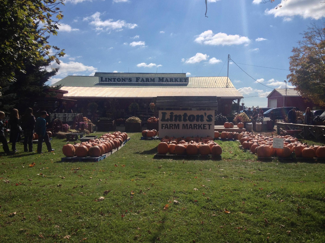 Linton's Farm Market景点图片