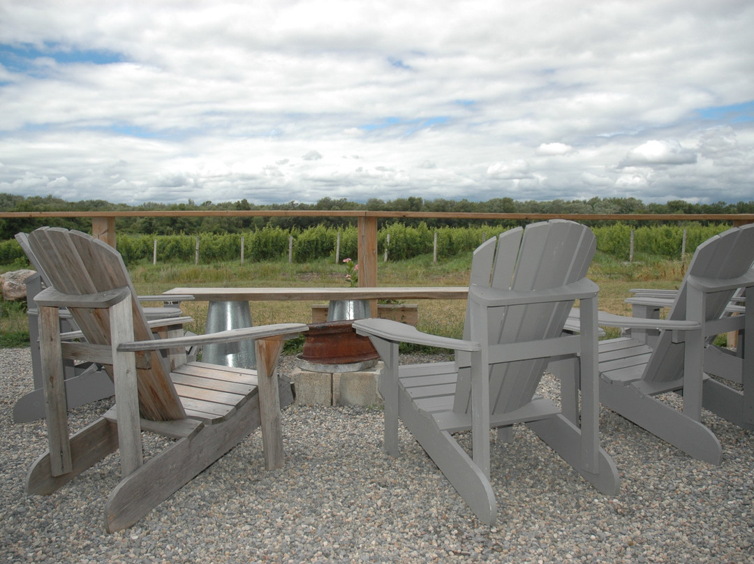 Hinterland Winery景点图片