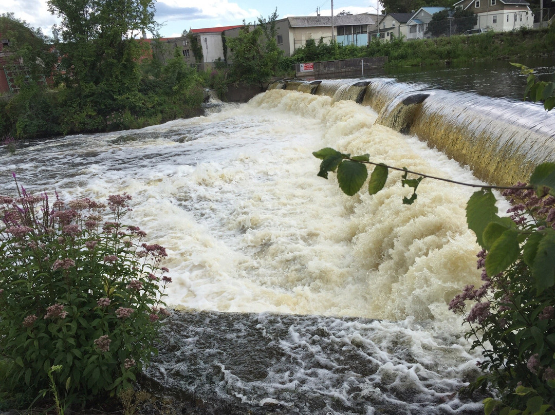 Napanee Conservation Area景点图片