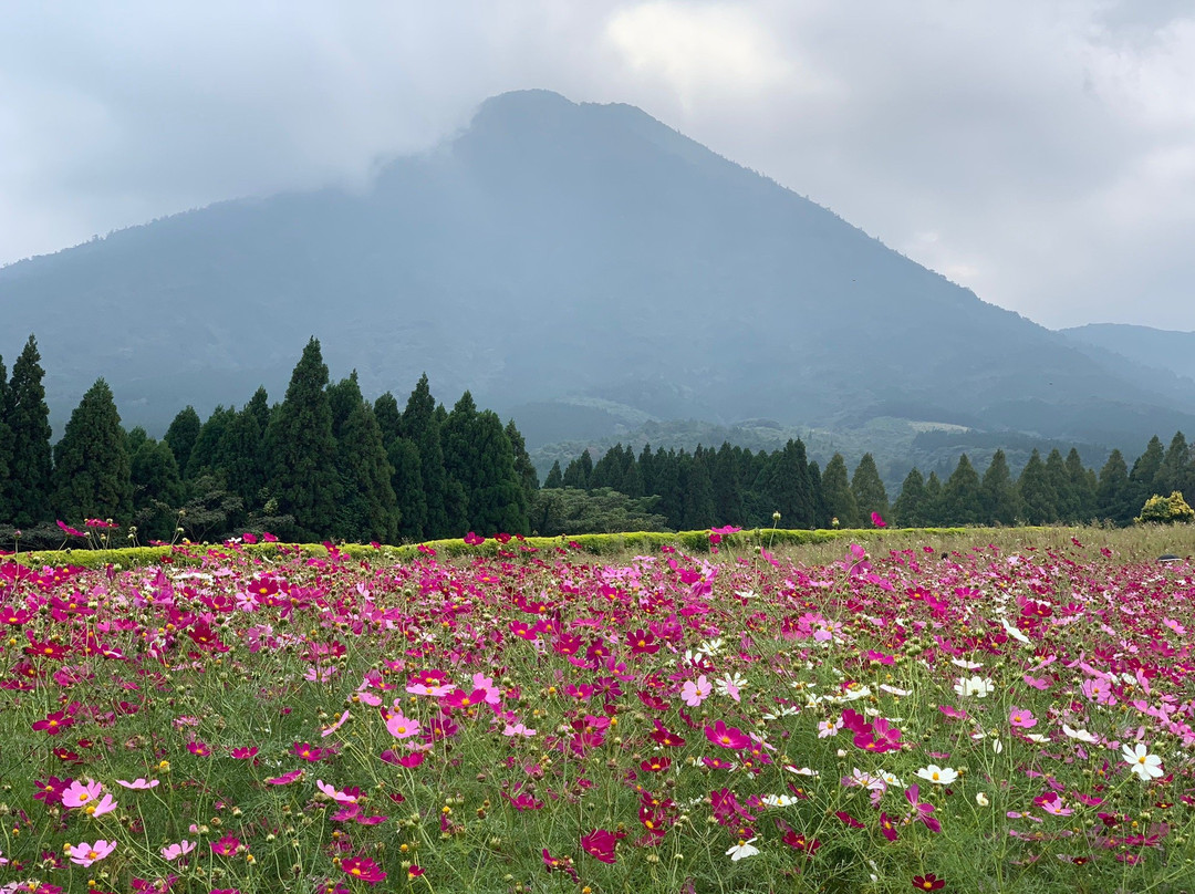 Ikoma Highlands景点图片