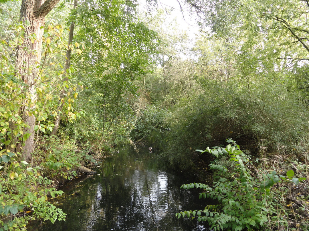 Arboretum Heempark-代尔夫特必去景点