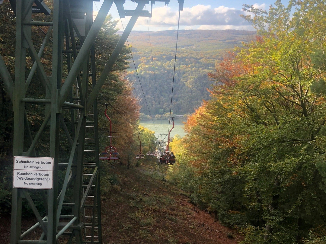 Niederwald Chairlift Assmannshausen on the Rhine景点图片