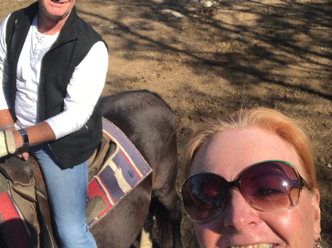 JuRo Stables-Mount Juliet必去景点