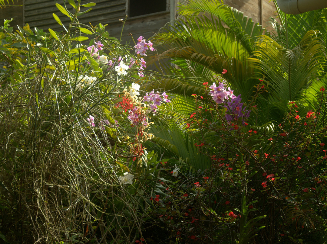 Bernique Guesthouse主图